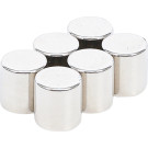 BGS Magnet-Satz extra stark Ø 9,5 mm 6-tlg BGS Do it yourself 79919