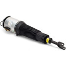 Arnott Luftfederbein VA re BENTLEY Conti.GT,VW Phaeton 03 Original Arnott Produkt AS-2892