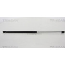 GASFEDER, KOFFER-/LADERAUM | 871042240