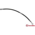 BREMBO Bremsschlauch