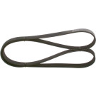 1 987 948 336 Keilrippenriemen