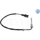 SENSOR, ABGASTEMPERATUR | 2148000079