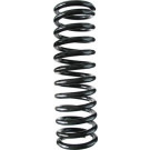 SPIDAN Fahrwerksfeder | 48667