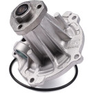 HEPU Wasserpumpe P542