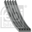 FEBI BILSTEIN Rillenriemen | 28856