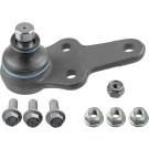 Gelenk - Radaufhängung Ford P. Fiesta | 17786 03