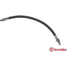 BREMBO Bremsschlauch | T 24 092