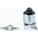 BorgWarner (Wahler) AGR-Ventil 711032D/1