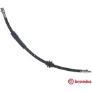 BREMBO Bremsschlauch