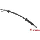 BREMBO Bremsschlauch | T 24 134