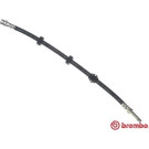 BREMBO Bremsschlauch | T 24 038