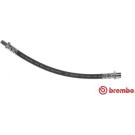 BREMBO Bremsschlauch | T 50 029