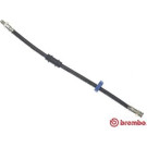 BREMBO Bremsschlauch | T 23 151