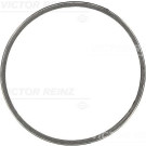 Dichtung Abgasrohr | CITROËN C2 JM 1.4 16V 06 | 71-39639-00