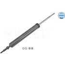 Stoßdämpfer | 3267250034