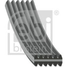 FEBI BILSTEIN Rillenriemen | 40713
