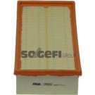 FRAM Luftfilter CA9932
