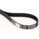 Zahnriemen | CT1049
