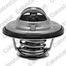 Thermostat, Kühlmittel | TH6533.92J