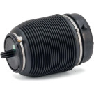 ARNOTT Fahrwerksfeder A-2960 Original Arnott Produkt