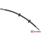 BREMBO Bremsschlauch | T 86 001