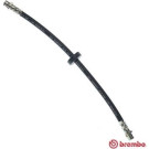 BREMBO Bremsschlauch | T 85 030