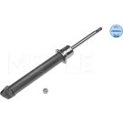 Stoßdämpfer | 266250008