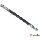 BREMBO Bremsschlauch | T 85 061