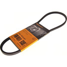 Keilrippenriemen | 3PK775 ELAST