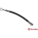 BREMBO Bremsschlauch | T 79 030
