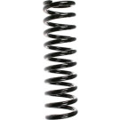 SPIDAN Fahrwerksfeder | 49226