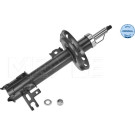 Stoßdämpfer | 6266230015
