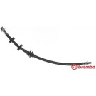 BREMBO Bremsschlauch | T 23 147