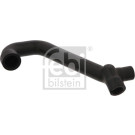 FEBI BILSTEIN Schlauch | 33854