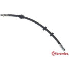 BREMBO Bremsschlauch | T 24 035