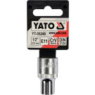 Torx-Steckschluss 1/2 E11 | YT-05246