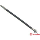 BREMBO Bremsschlauch | T 24 147