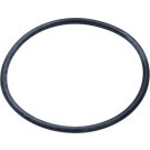 Unterschnittene Pumpendichtung Pegueot 207,3008,308,5008 /Citroen Berlingo, C3,C4, Ds 3 | 455622