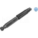 Stoßdämpfer | 2267250012