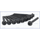 Zylinderkopfschraubensatz | AJU81017900