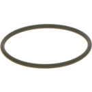 O-Ring | Diverse | F 00N 202 130