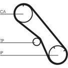 Continental CTAM Zahnriemen CT1153
