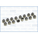 57052100 Dichtungssatz, Ventilschaft