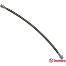 BREMBO Bremsschlauch | T 56 183