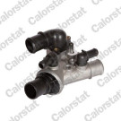 Thermostat, Kühlmittel | TH5976.80J
