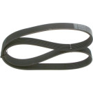 1 987 946 249 Keilrippenriemen