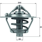 Thermostateinsatz mit Dichtung | FORD,VOLVO,MAZ,VOLVo 1.25-1.6i 03 | TX 108 82D