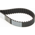 Zahnriemen | CT1131