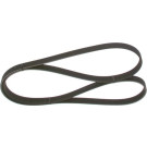 1 987 946 215 Keilrippenriemen