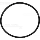 Dichtung Ansaugkrümmer(4-5x/Mot) | CHRYSLER,MERCEDES | 71-34473-00